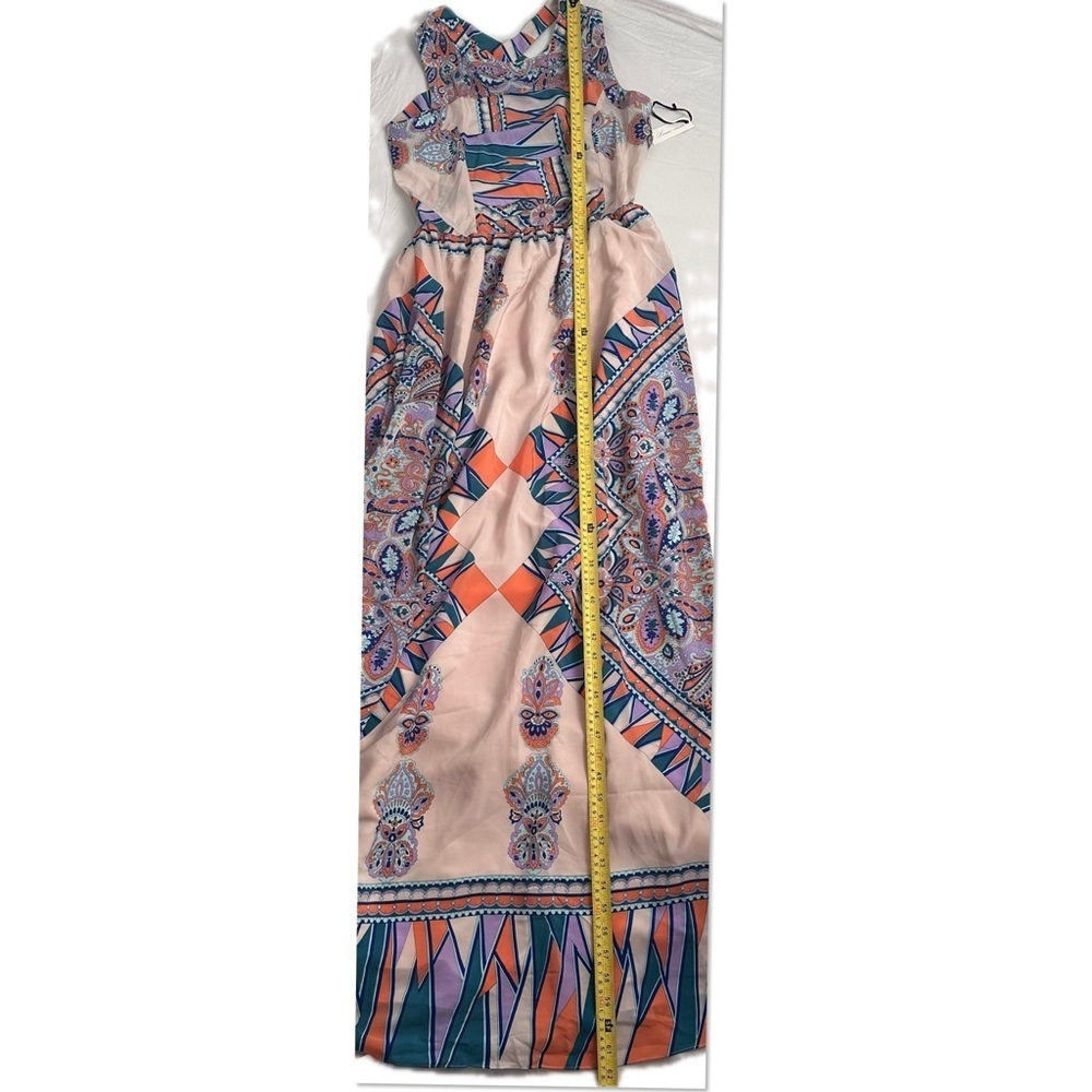 Lovers and Friends Kitty Cat Blush Scarf multicolor maxi dress - Picture 14 of 14